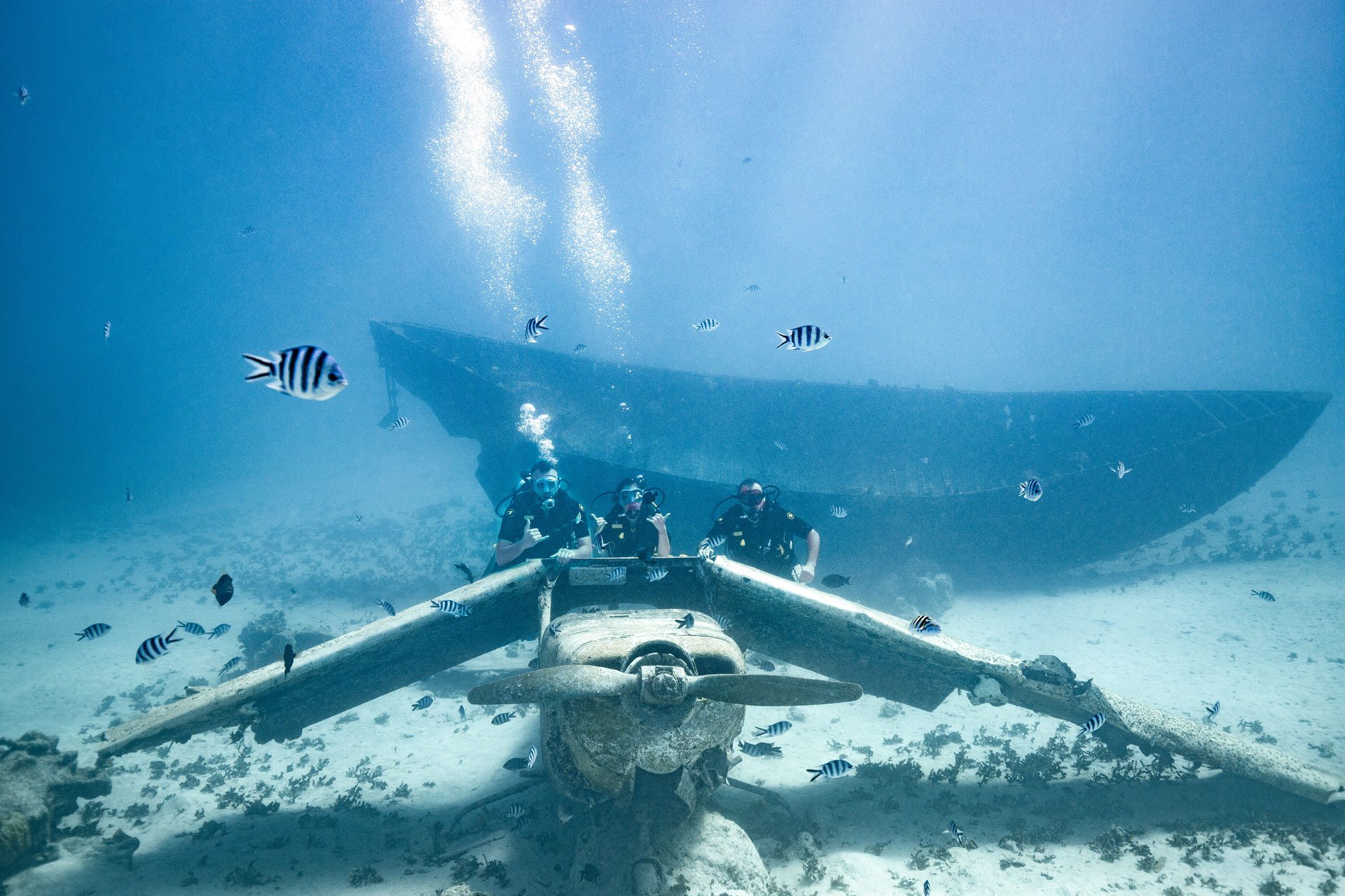 Scuba Diving